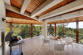Platres Forest Panorama