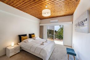 Platres Forest Panorama