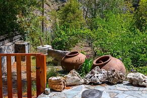 Platres Forest Panorama