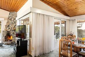 Platres Forest Panorama