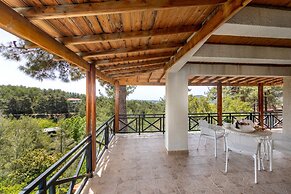 Platres Forest Panorama