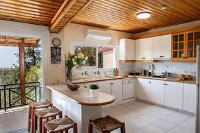 Platres Forest Panorama