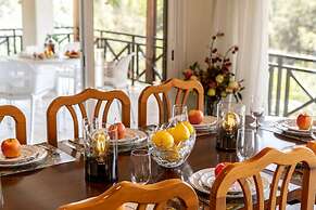 Platres Forest Panorama