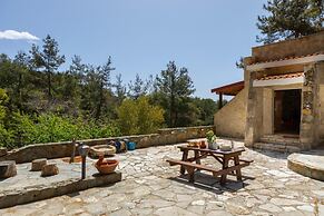 Platres Forest Panorama