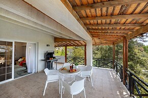 Platres Forest Panorama