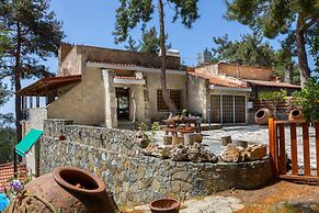 Platres Forest Panorama