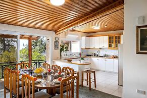 Platres Forest Panorama