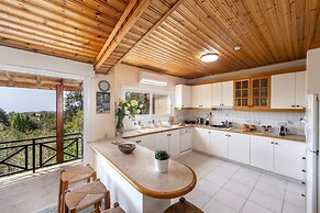 Platres Forest Panorama