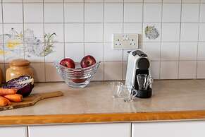 Platres Forest Panorama