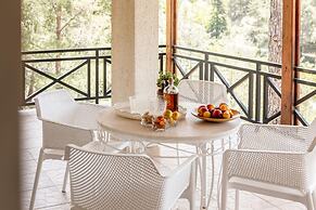 Platres Forest Panorama