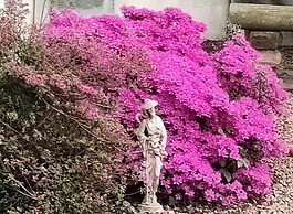 The Cabin Quiet, Relaxing and dog Friendly