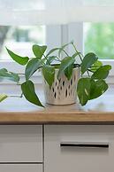 Bright Apartment Wola by Renters