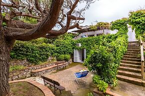 Villa Delle Ninfeee by Napoliapartments