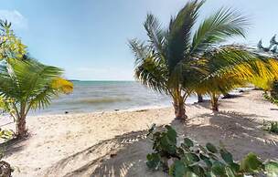 Turtle Studio in Placencia Village