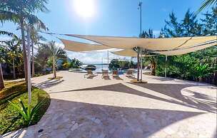 Turtle Studio in Placencia Village