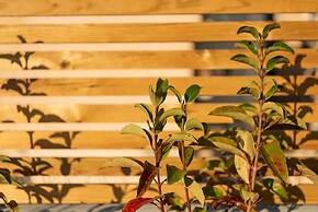 Royal Premium Apartment -120sq -common Terrace