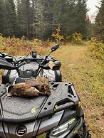 Immaculate 4-bed House