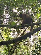 Cabañas Ecológicas Mu'ü