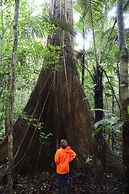 Cabañas Ecológicas Mu'ü