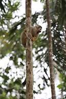 Cabañas Ecológicas Mu'ü