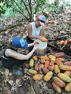 Cabañas Ecológicas Mu'ü