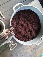 Cabañas Ecológicas Mu'ü