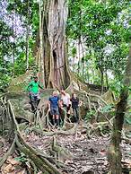 Cabañas Ecológicas Mu'ü