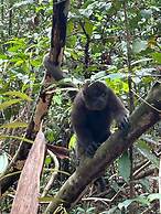 Cabañas Ecológicas Mu'ü