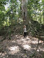 Cabañas Ecológicas Mu'ü