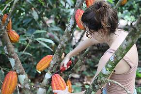 Cabañas Ecológicas Mu'ü