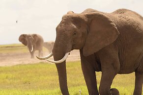 Amboseli Amanya Lodge