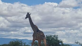 Amanya Star Bed Amboseli