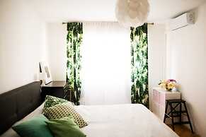 Cozy apt Within Walk Distance to Center and Beach