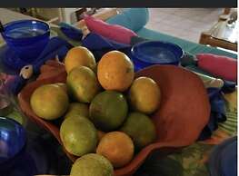 Seacret Studios - Cozy Jamaican Retreat Apts by RedAwning