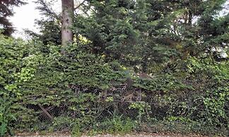 Charming Chalet in the Midst of Nature