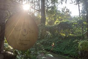 Dendrobium House