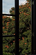 Dendrobium House