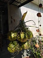 Flora Land Resort Chiang Mai