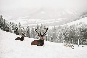 Jufenalm BOHO Hotel & Restaurant