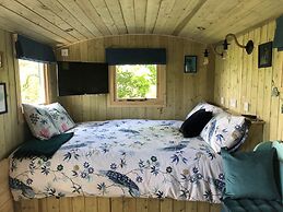 The Peacock Shepherds Hut at Hafoty Boeth