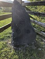 The Peacock Shepherds Hut at Hafoty Boeth