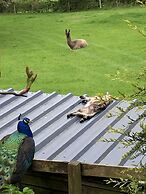 The Peacock Shepherds Hut at Hafoty Boeth