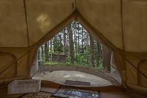 LUNA LLENA PARQUE DE MONTAÑA