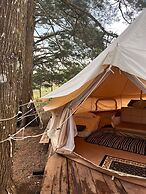 LUNA LLENA PARQUE DE MONTAÑA