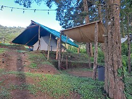 LUNA LLENA PARQUE DE MONTAÑA