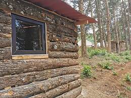 LUNA LLENA PARQUE DE MONTAÑA