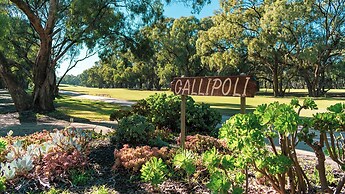 Comfort Suites Clubarham Golf Resort