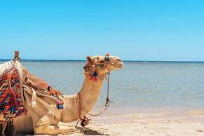 Beach Safari Nubian Resort