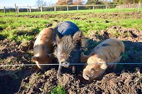 The Cote Little Upton Farm