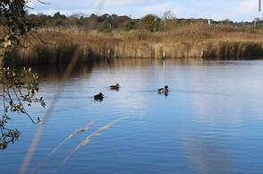 Coastal East View in St Helens